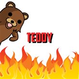S04R Teddy